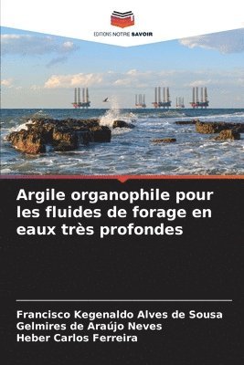 Argile organophile pour les fluides de forage en eaux trs profondes 1