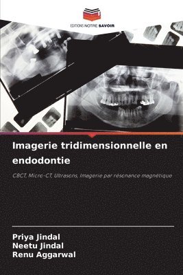 bokomslag Imagerie tridimensionnelle en endodontie