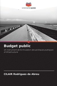 bokomslag Budget public