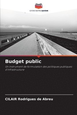 Budget public 1