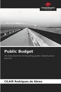 bokomslag Public Budget