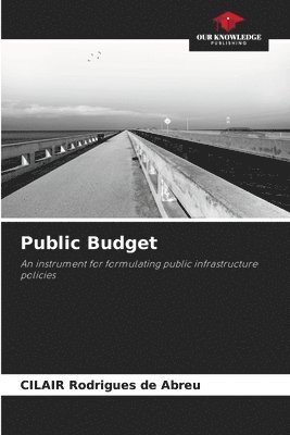 bokomslag Public Budget