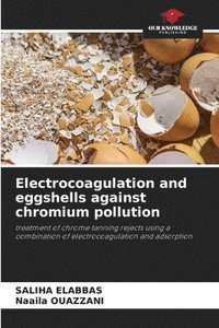 bokomslag Electrocoagulation and eggshells against chromium pollution