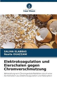 bokomslag Elektrokoagulation und Eierschalen gegen Chromverschmutzung