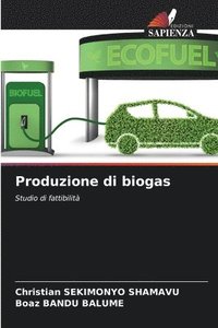 bokomslag Produzione di biogas