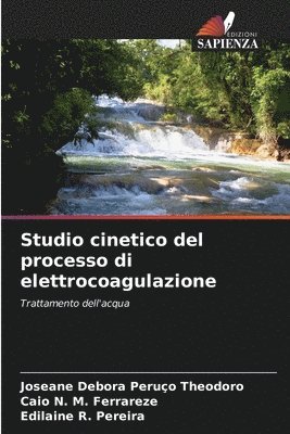 bokomslag Studio cinetico del processo di elettrocoagulazione