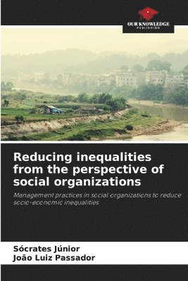 Reducing inequalities from the perspective of social organizations 1
