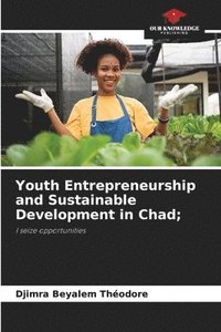 bokomslag Youth Entrepreneurship and Sustainable Development in Chad;