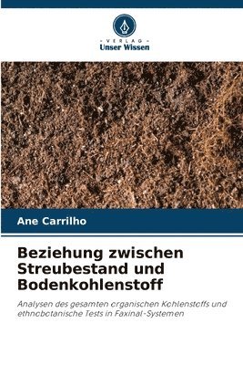 bokomslag Beziehung zwischen Streubestand und Bodenkohlenstoff