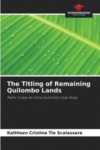 bokomslag The Titling of Remaining Quilombo Lands