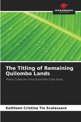 The Titling of Remaining Quilombo Lands 1