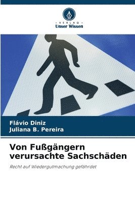 Von Fugngern verursachte Sachschden 1