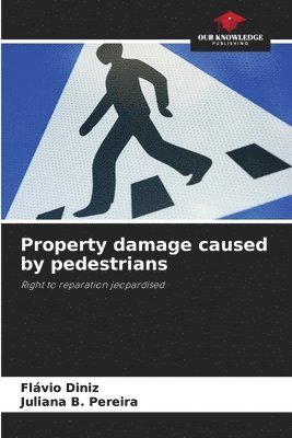 bokomslag Property damage caused by pedestrians