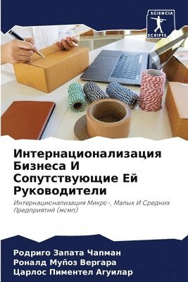 bokomslag &#1048;&#1085;&#1090;&#1077;&#1088;&#1085;&#1072;&#1094;&#1080;&#1086;&#1085;&#1072;&#1083;&#1080;&#1079;&#1072;&#1094;&#1080;&#1103; &#1041;&#1080;&#1079;&#1085;&#1077;&#1089;&#1072; &#1048;