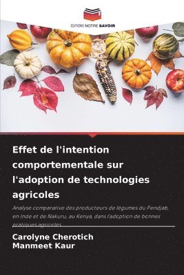 bokomslag Effet de l'intention comportementale sur l'adoption de technologies agricoles