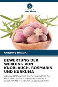 bokomslag Bewertung Der Wirkung Von Knoblauch, Rosmarin Und Kurkuma