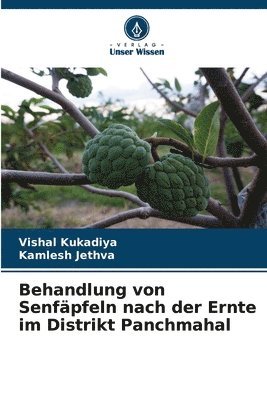 Behandlung von Senfpfeln nach der Ernte im Distrikt Panchmahal 1