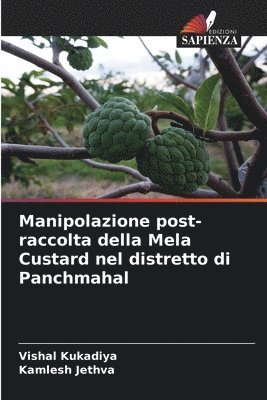 Manipolazione post-raccolta della Mela Custard nel distretto di Panchmahal 1