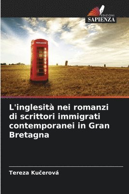 bokomslag L'inglesit nei romanzi di scrittori immigrati contemporanei in Gran Bretagna