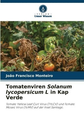 Tomatenviren Solanum lycopersicum L in Kap Verde 1