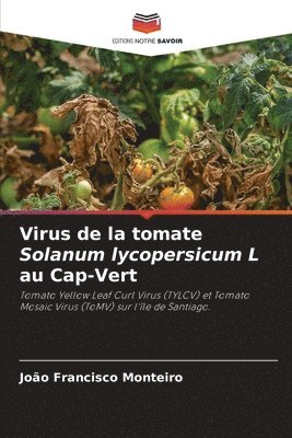 Virus de la tomate Solanum lycopersicum L au Cap-Vert 1