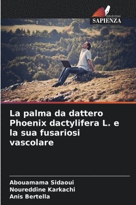 bokomslag La palma da dattero Phoenix dactylifera L. e la sua fusariosi vascolare