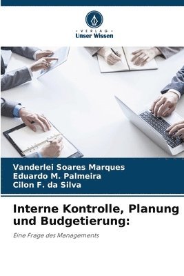 bokomslag Interne Kontrolle, Planung und Budgetierung