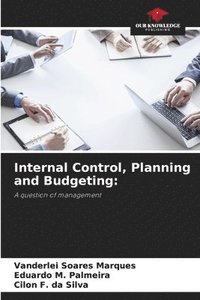 bokomslag Internal Control, Planning and Budgeting