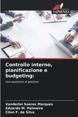 bokomslag Controllo interno, pianificazione e budgeting