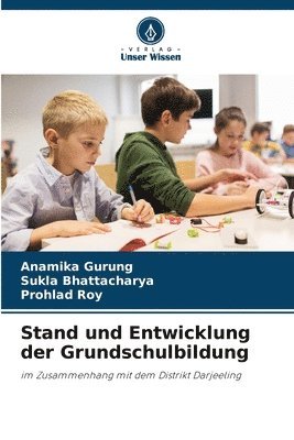 bokomslag Stand und Entwicklung der Grundschulbildung