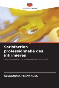 bokomslag Satisfaction professionnelle des infirmires