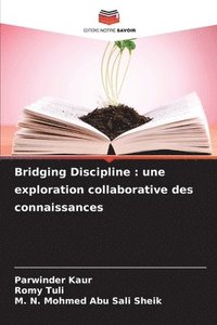 bokomslag Bridging Discipline