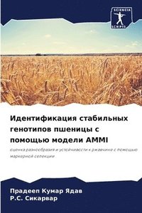 bokomslag &#1048;&#1076;&#1077;&#1085;&#1090;&#1080;&#1092;&#1080;&#1082;&#1072;&#1094;&#1080;&#1103; &#1089;&#1090;&#1072;&#1073;&#1080;&#1083;&#1100;&#1085;&#1099;&#1093;