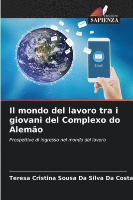 bokomslag Il mondo del lavoro tra i giovani del Complexo do Alemo