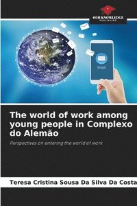 bokomslag The world of work among young people in Complexo do Alemo