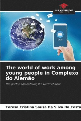 The world of work among young people in Complexo do Alemo 1