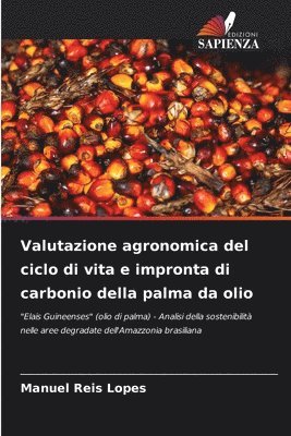 Valutazione agronomica del ciclo di vita e impronta di carbonio della palma da olio 1