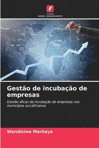 bokomslag Gesto de incubao de empresas