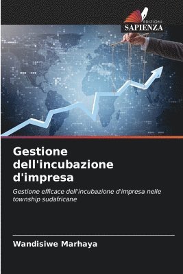 bokomslag Gestione dell'incubazione d'impresa