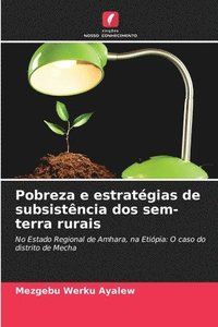 bokomslag Pobreza e estratgias de subsistncia dos sem-terra rurais