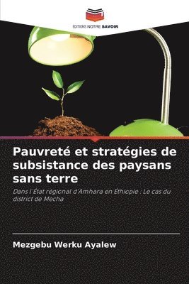 bokomslag Pauvret et stratgies de subsistance des paysans sans terre