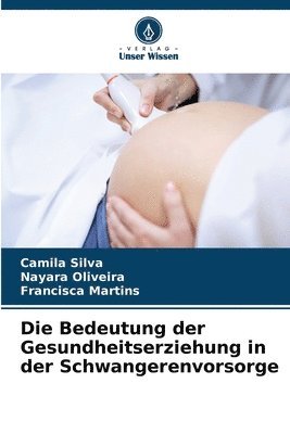 bokomslag Die Bedeutung der Gesundheitserziehung in der Schwangerenvorsorge