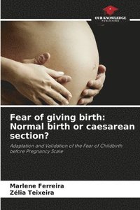 bokomslag Fear of giving birth