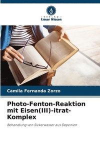 bokomslag Photo-Fenton-Reaktion mit Eisen(III)-itrat-Komplex