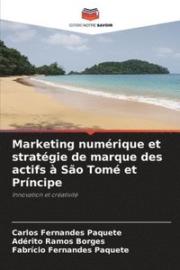 bokomslag Marketing numrique et stratgie de marque des actifs  So Tom et Prncipe