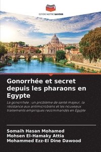 bokomslag Gonorrhe et secret depuis les pharaons en Egypte
