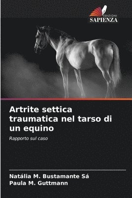 Artrite settica traumatica nel tarso di un equino 1