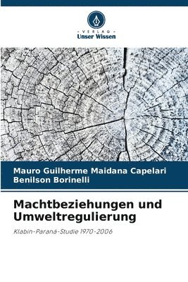 Machtbeziehungen und Umweltregulierung 1