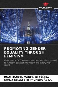 bokomslag Promoting Gender Equality Through Feminism