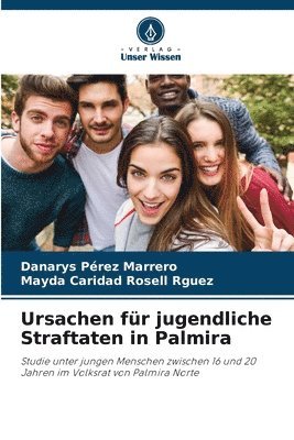 bokomslag Ursachen fr jugendliche Straftaten in Palmira